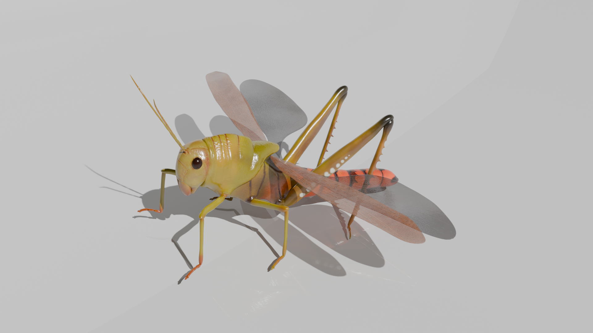 Advanced Horse Riding System